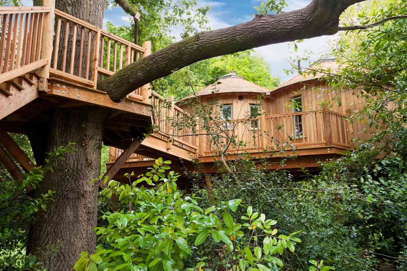 View of The Top 5 Treehouses | Glamping.com